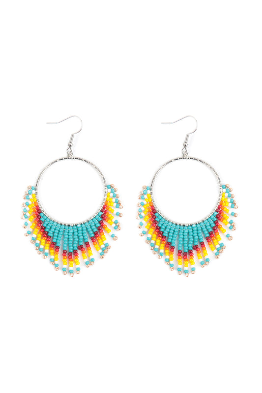 Boho Hoop Seed Beads Fringe Fish Hook Earrings /1PAIR