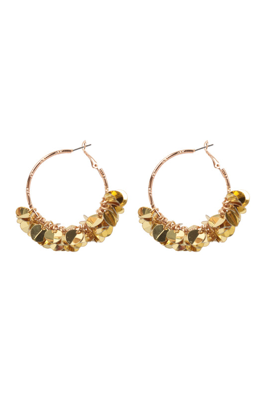 Se2uin Dangle Hoop Earrings