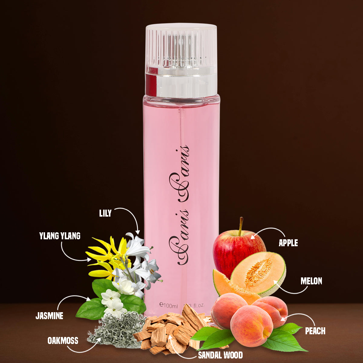Paris Paris Spray Perfume Eau De Parfum For Women - 100ML/3.3 FL.OZ.
