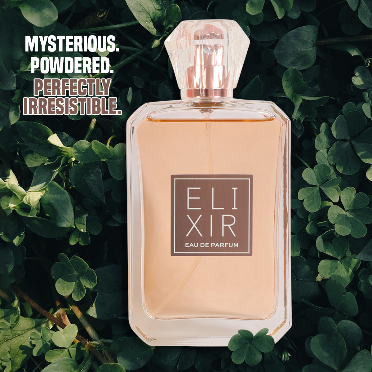 Elixir Spray Perfume Eau De Parfum For Women - 100ML/3.4 FL.OZ.