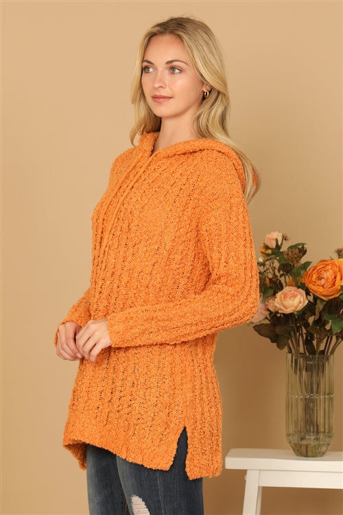 Plus Size Textured Hooded Knit Tunic Sweater