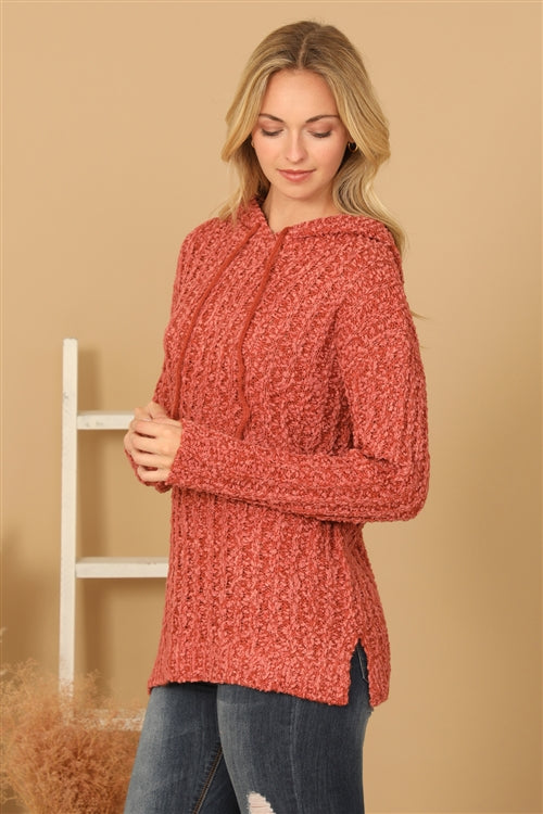 Plus Size Textured Hooded Knit Tunic Sweater