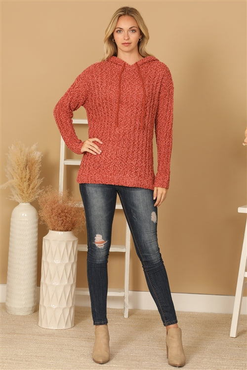 Plus Size Textured Hooded Knit Tunic Sweater