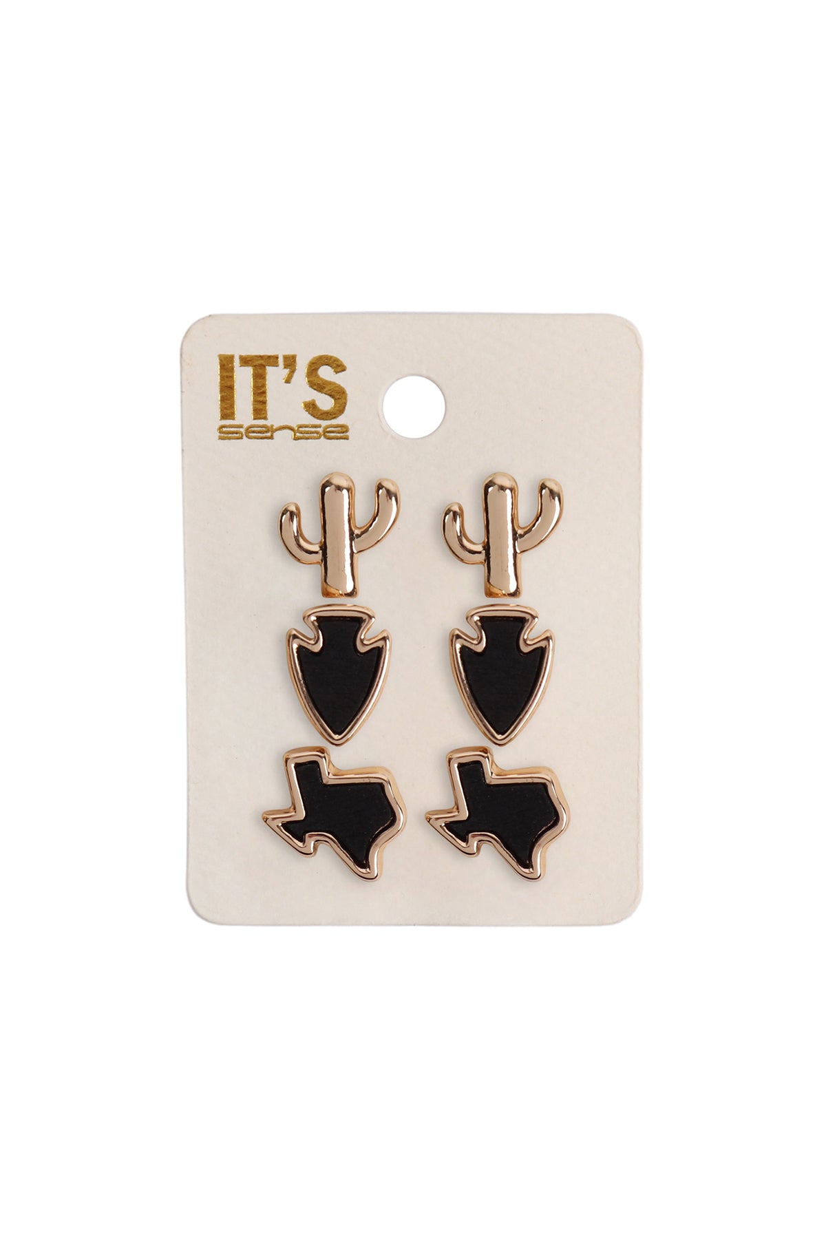 3 Set Texas Map Cactus Stud Post Earrings Black