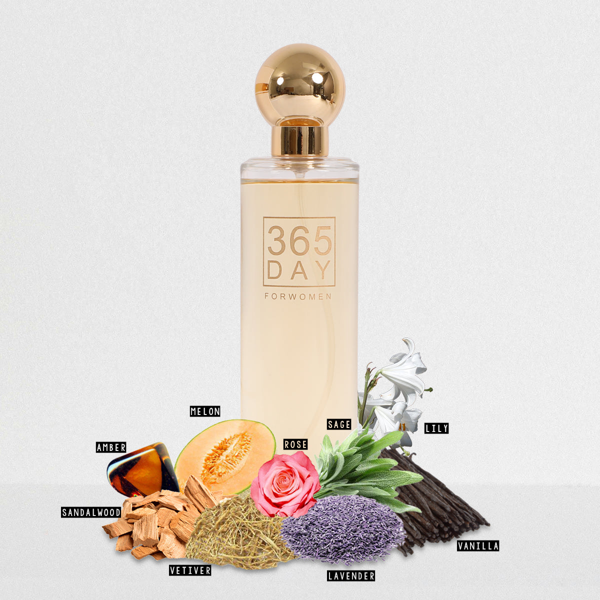 365 Day Spray Perfume Eau De Parfum For Women - 100ML/3.4 FL. OZ.