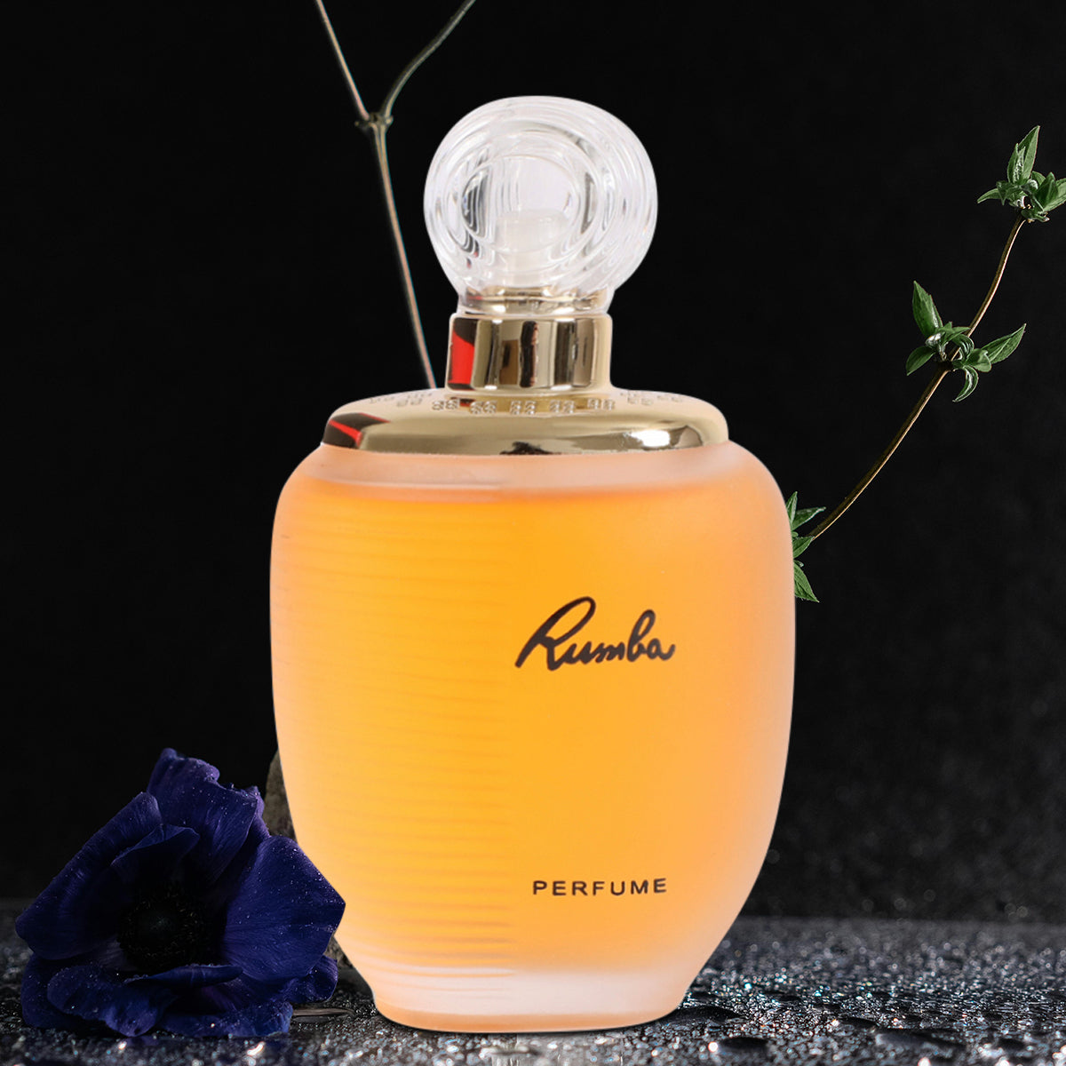 Rumba Spray Perfume Eau De Parfum For Women - 100ML/3.4 FL.OZ.