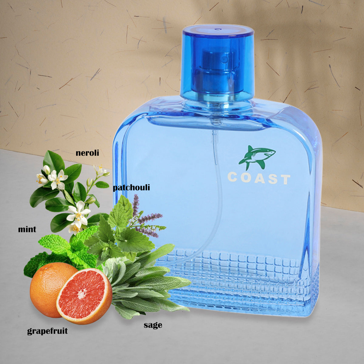 Coast Blue Spray Cologne Eau De Toilette For Men - 100ML/3.4 FL.OZ.