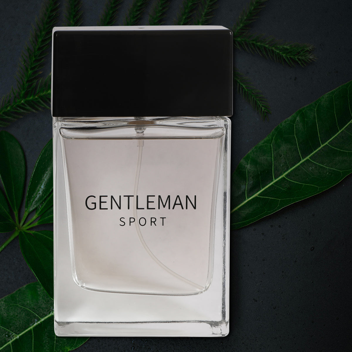 Gentleman Sport Spray Cologne Eau De Toilette For Men - 100ML/3.4 FL.OZ.