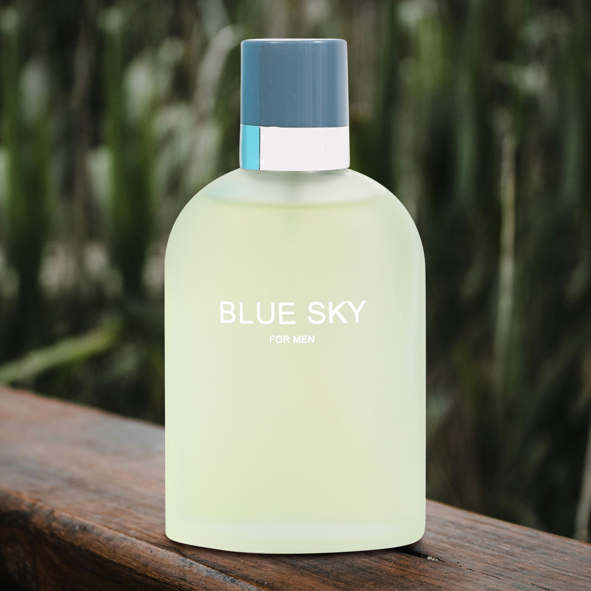 Blue Sky Spray Perfume Eau De Parfum For Men - 100ML/3.4 FL.OZ.
