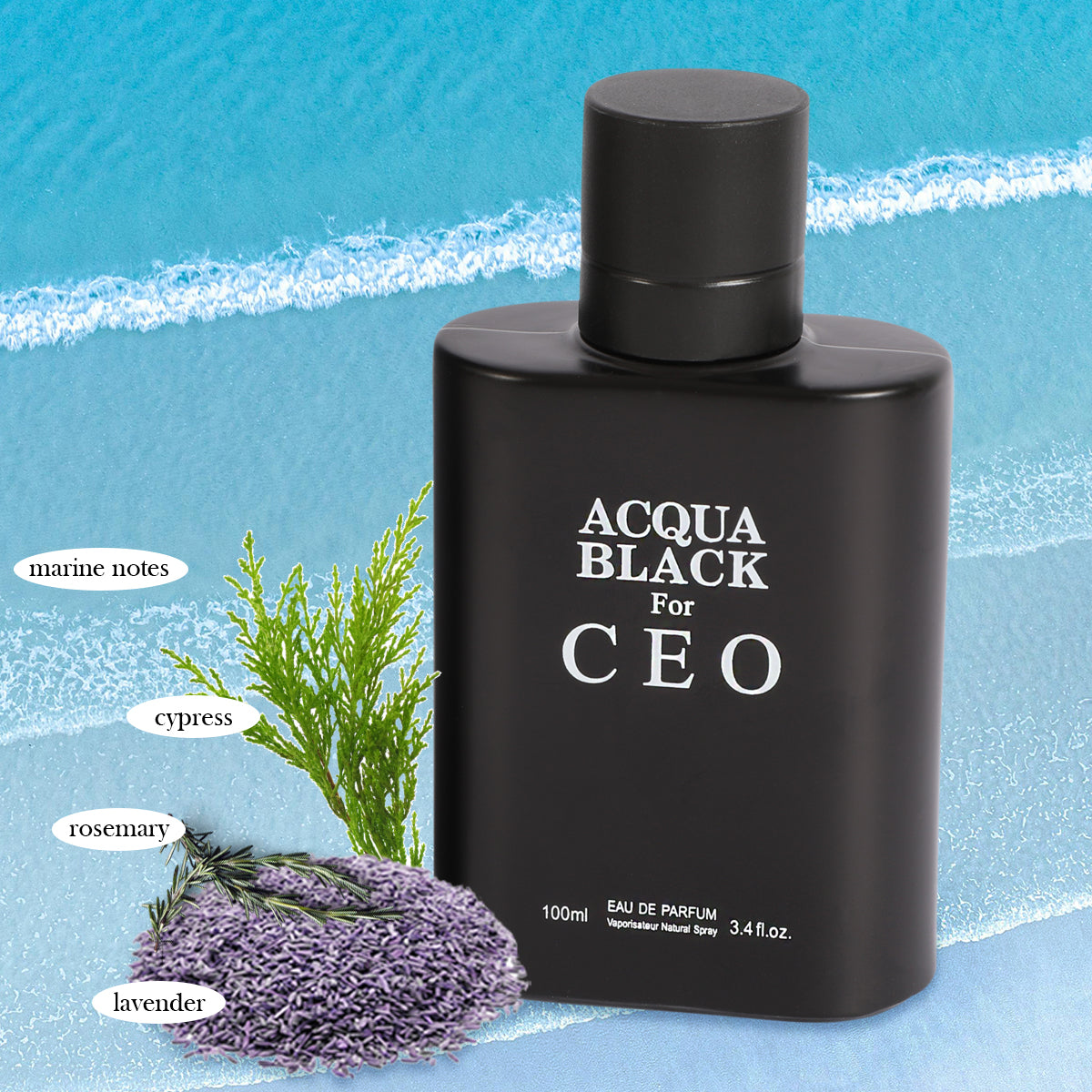 Acqua Black For Ceo Spray Cologne Eau De Parfum For Men - 100ML/3.4 FL.OZ