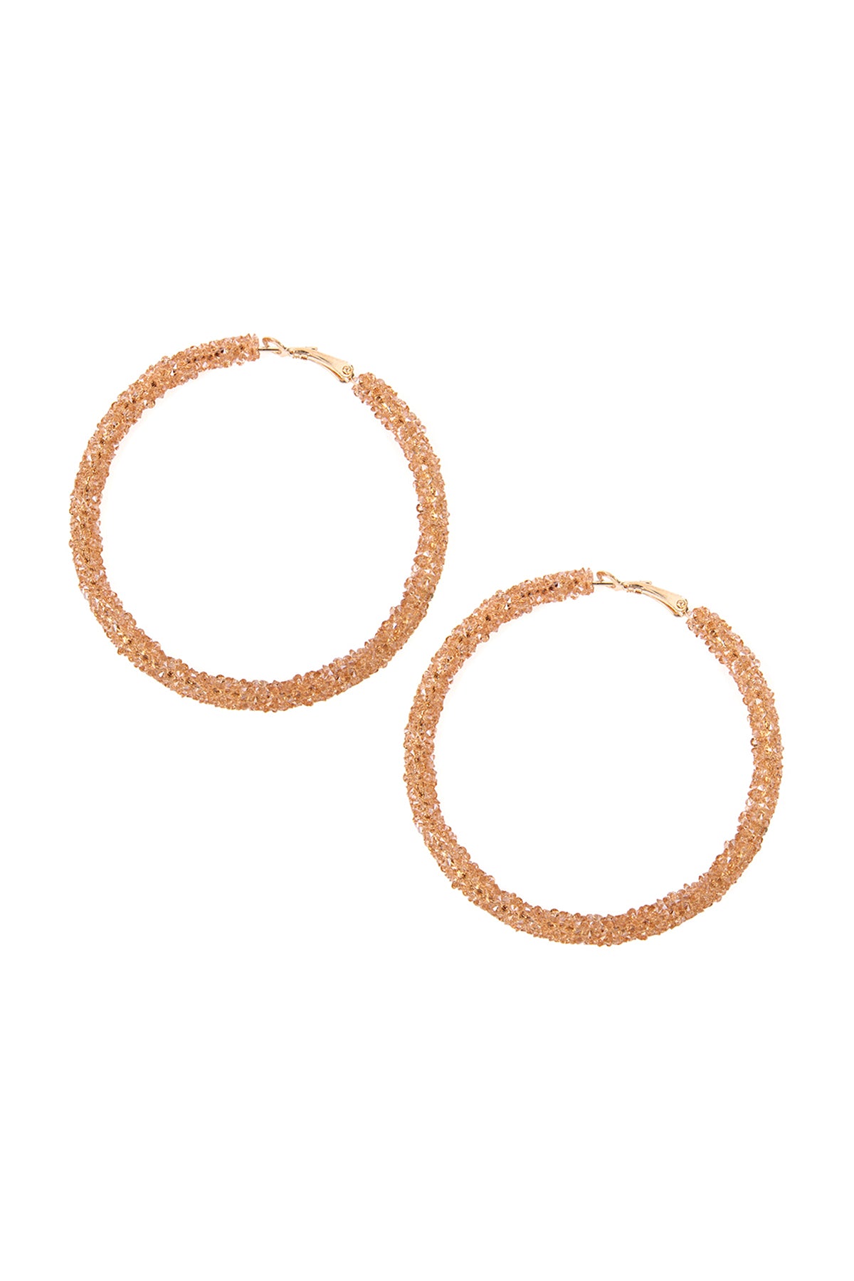 Rhinestone Coated Hoop Earring