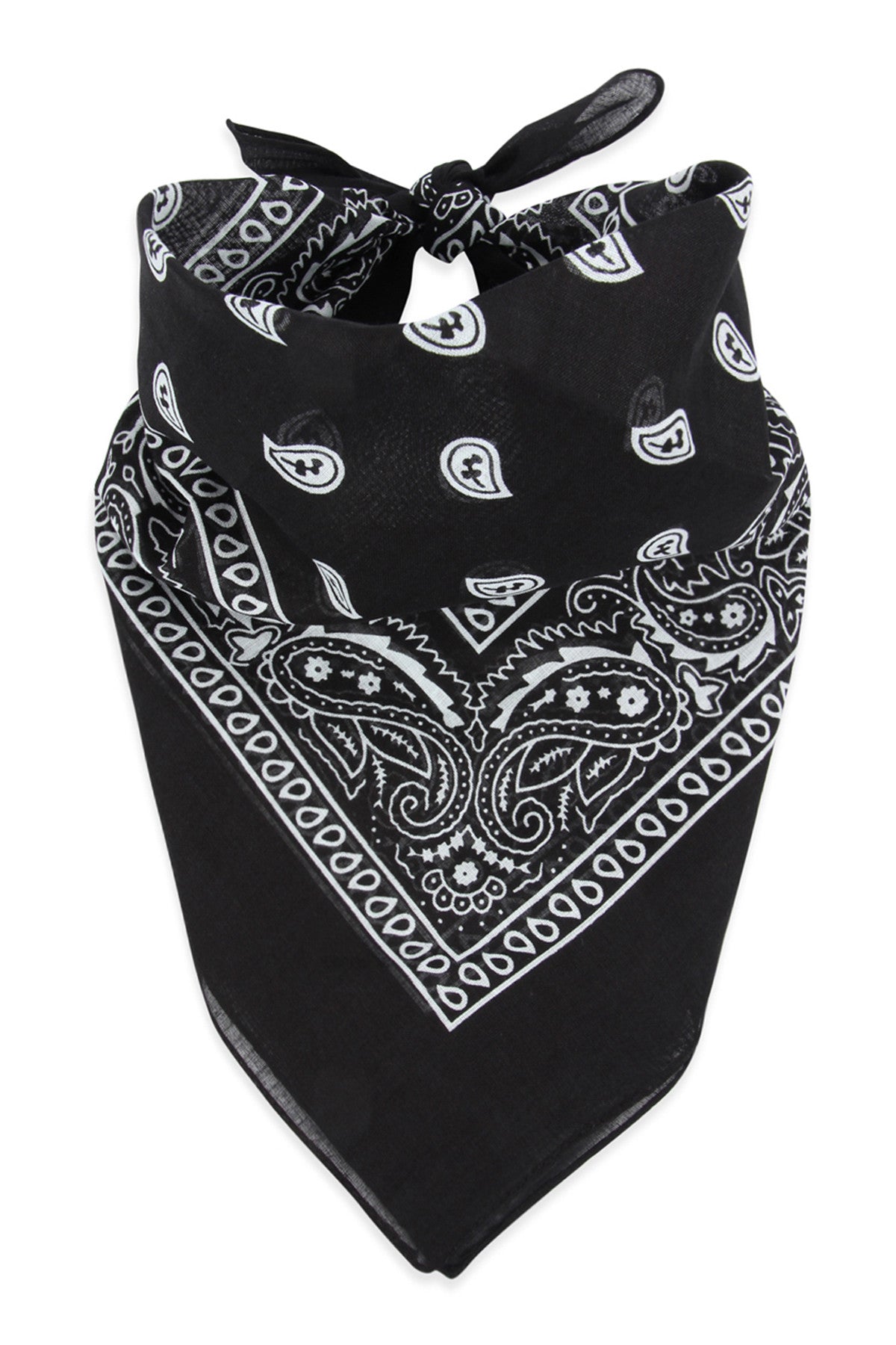Multi-Purpose Paisley Printed Bandana