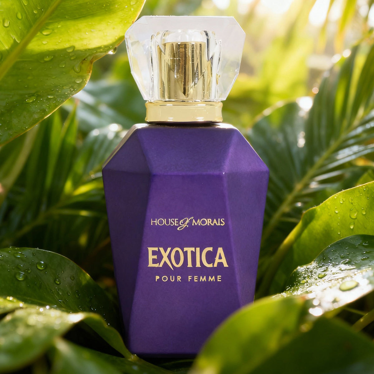 Exotica Spray Perfume Eau De Parfum For Women - 100ML/3.4FL.OZ.