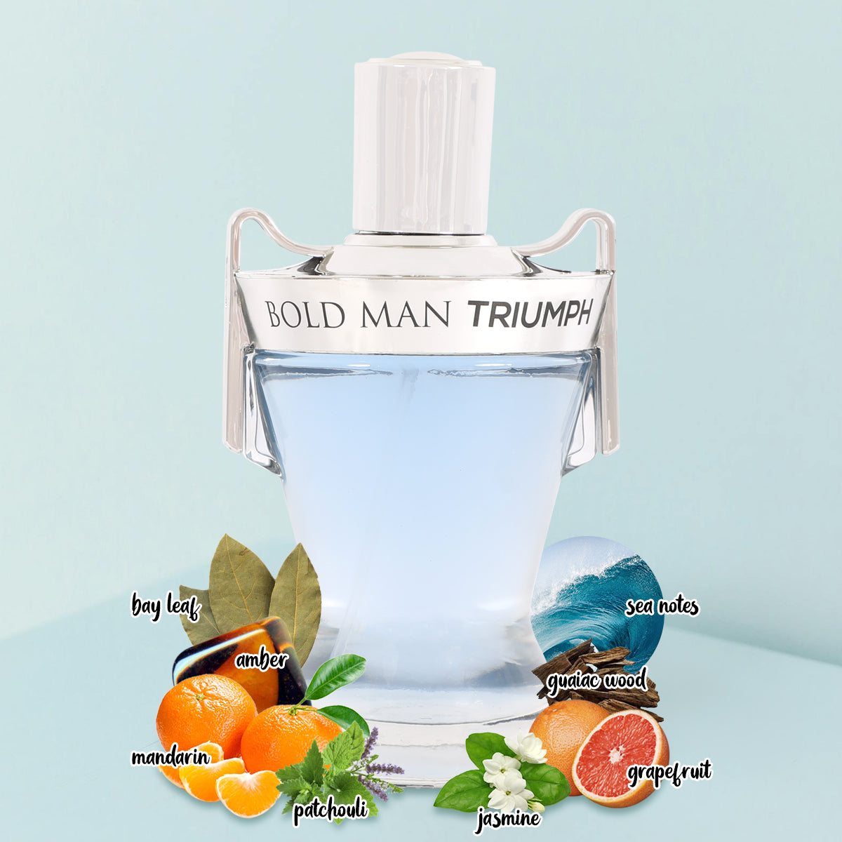 Bold Man Triumph Spray Perfume Eau De Parfum For Men - 100ML/3.4FL.OZ.