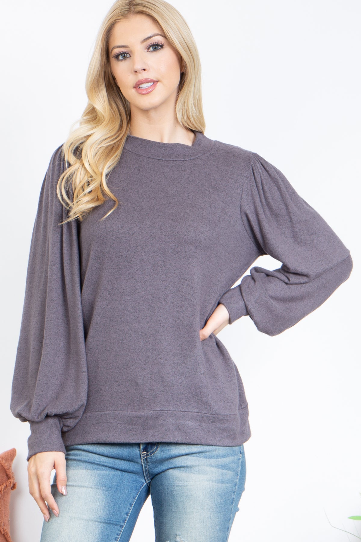Crew Neck Long Puff Sleeve Top