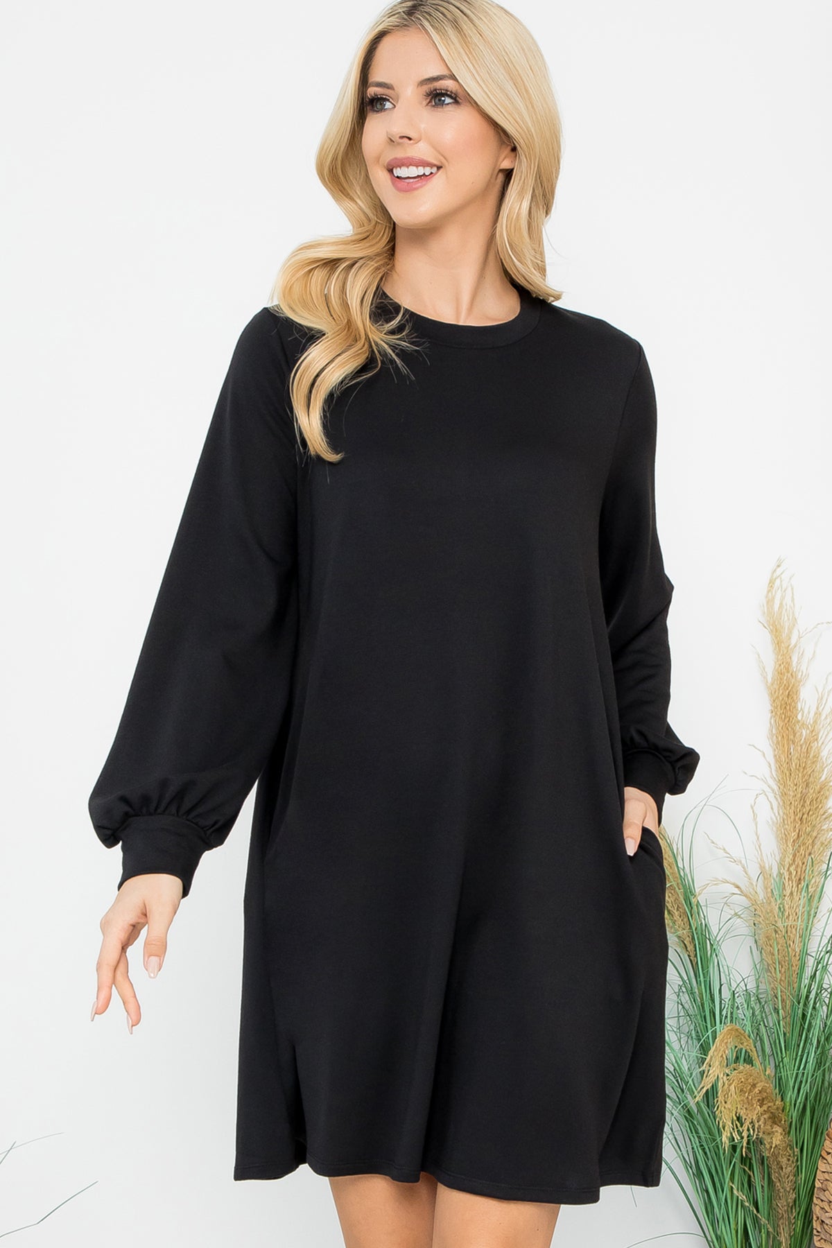 Long Sleeve Crew Neck Mini Dress with Pockets