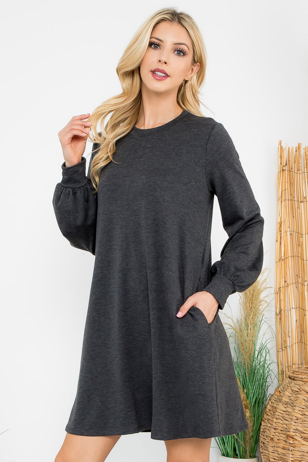 Long Sleeve Crew Neck Mini Dress with Pockets
