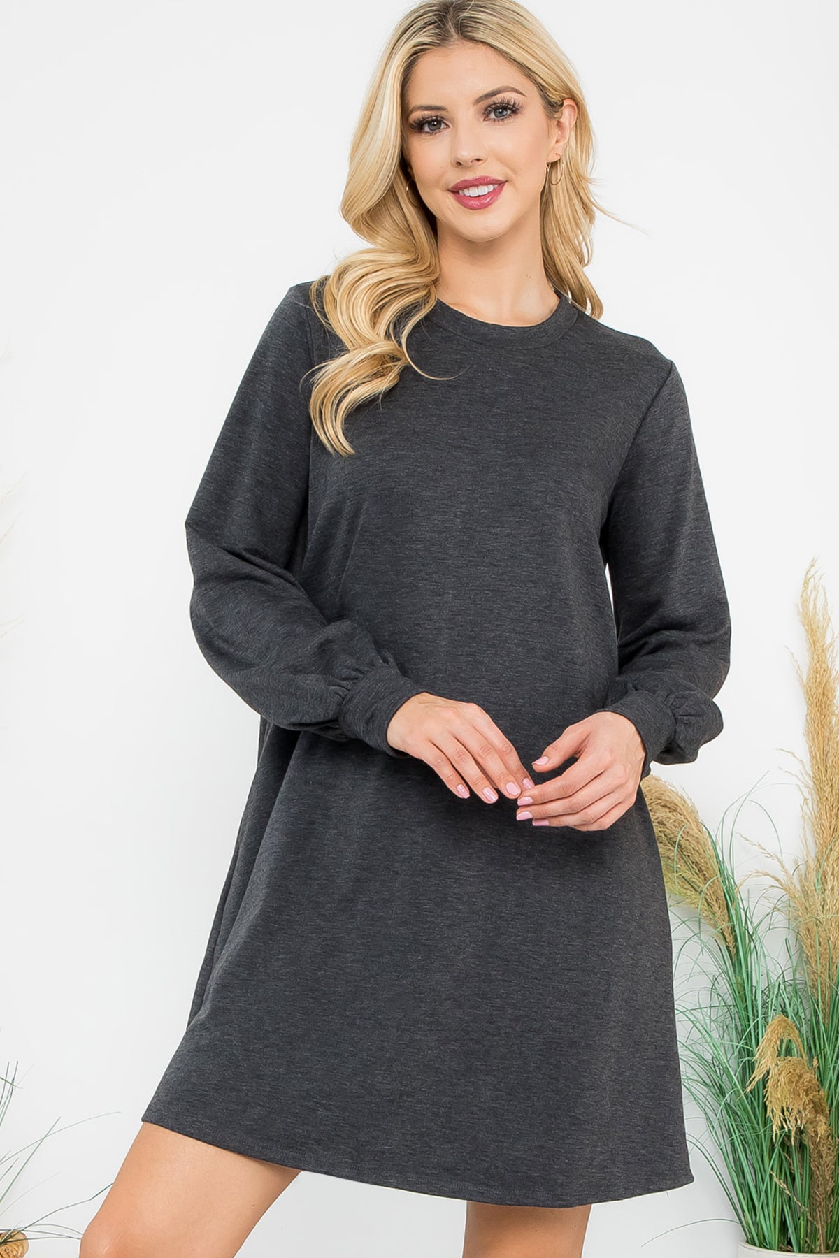 Long Sleeve Crew Neck Mini Dress with Pockets