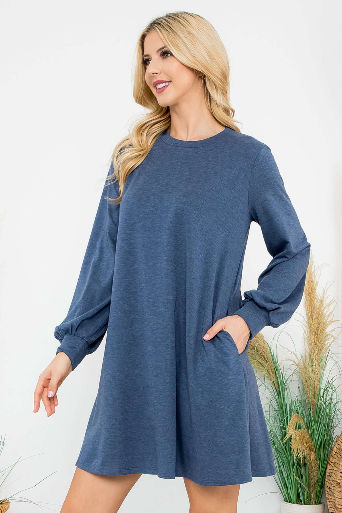 Long Sleeve Crew Neck Mini Dress with Pockets