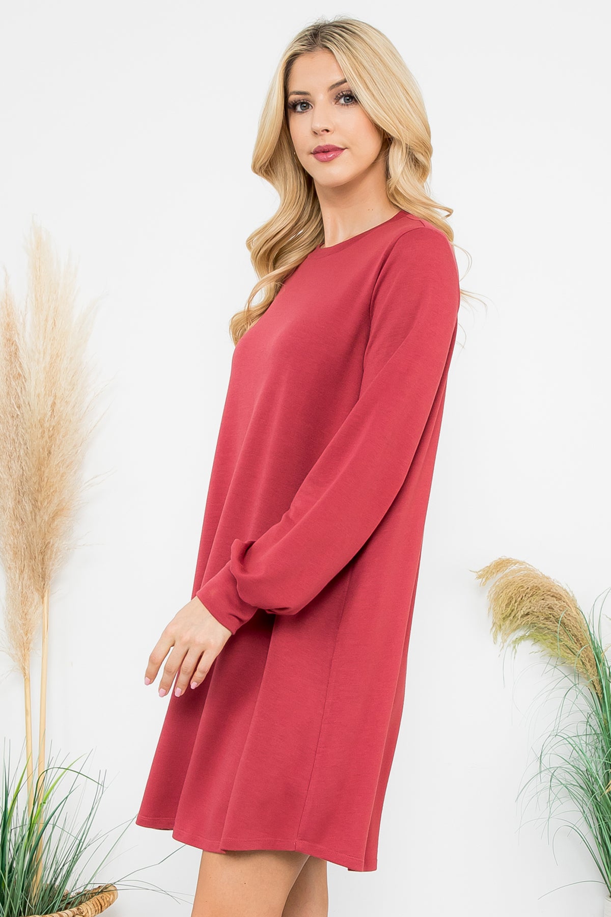 Long Sleeve Crew Neck Mini Dress with Pockets
