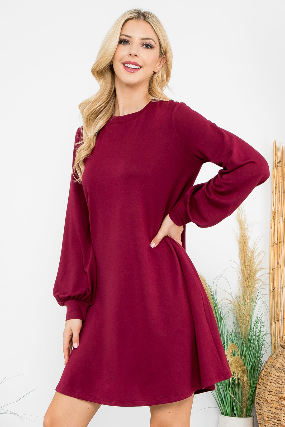 Long Sleeve Crew Neck Mini Dress with Pockets
