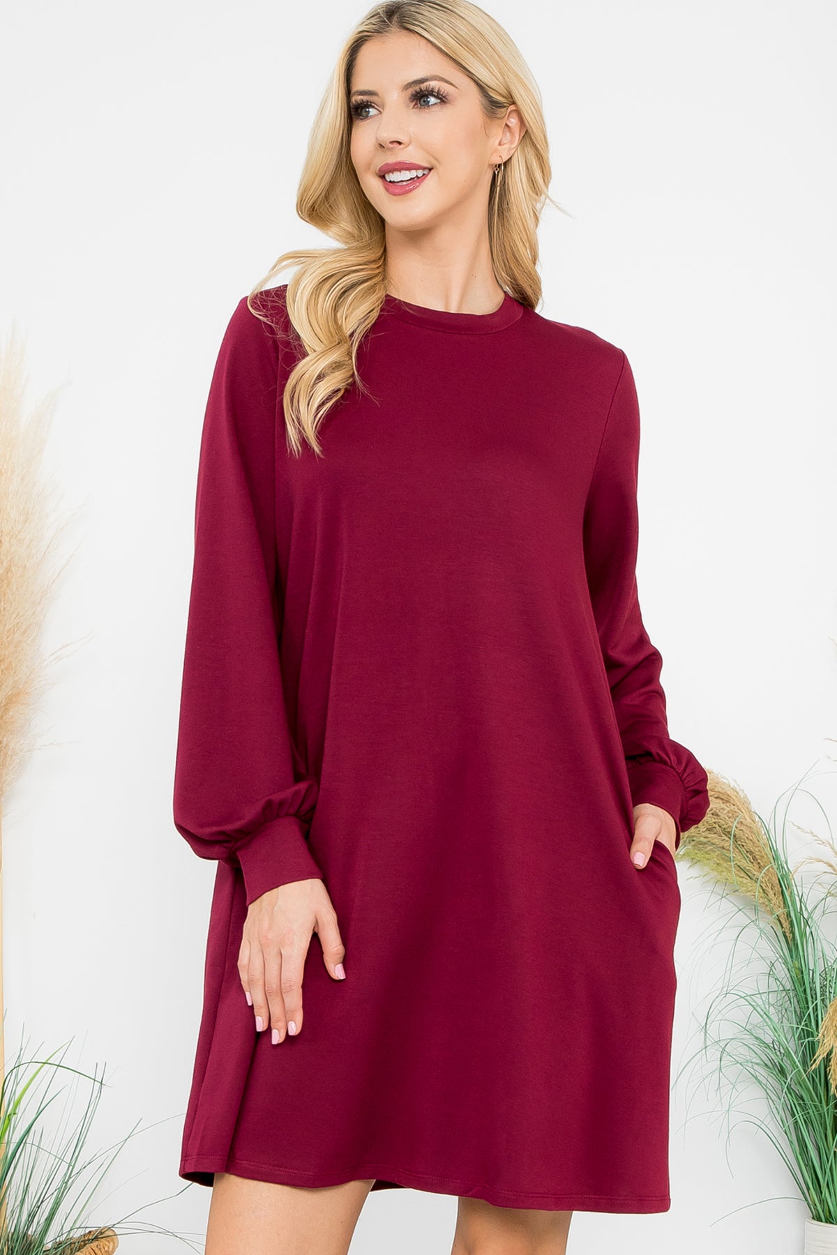 Long Sleeve Crew Neck Mini Dress with Pockets