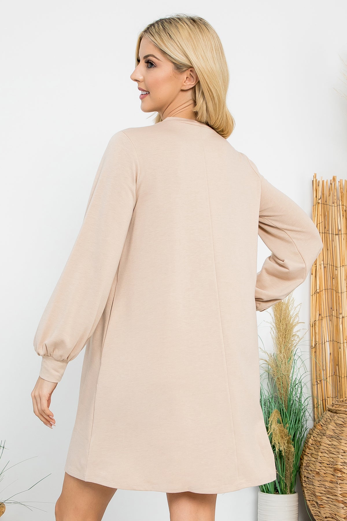 Long Sleeve Crew Neck Mini Dress with Pockets