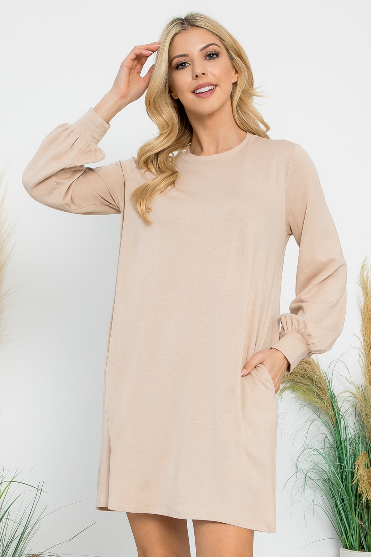 Long Sleeve Crew Neck Mini Dress with Pockets