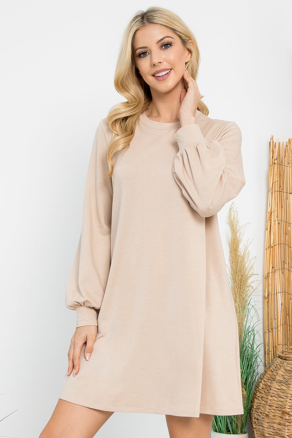 Long Sleeve Crew Neck Mini Dress with Pockets