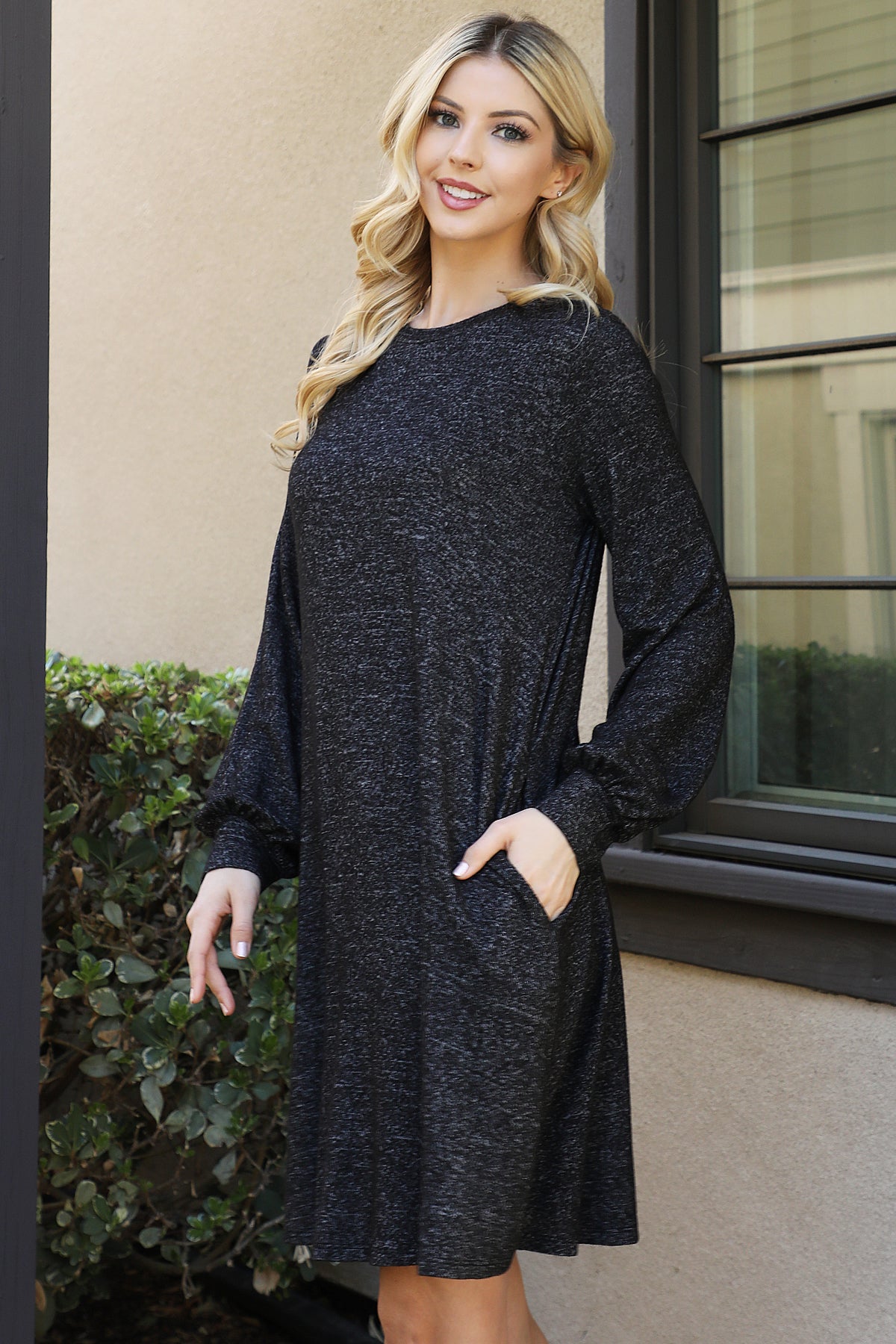 Long Sleeve Crew Neck Mini Swing Dress