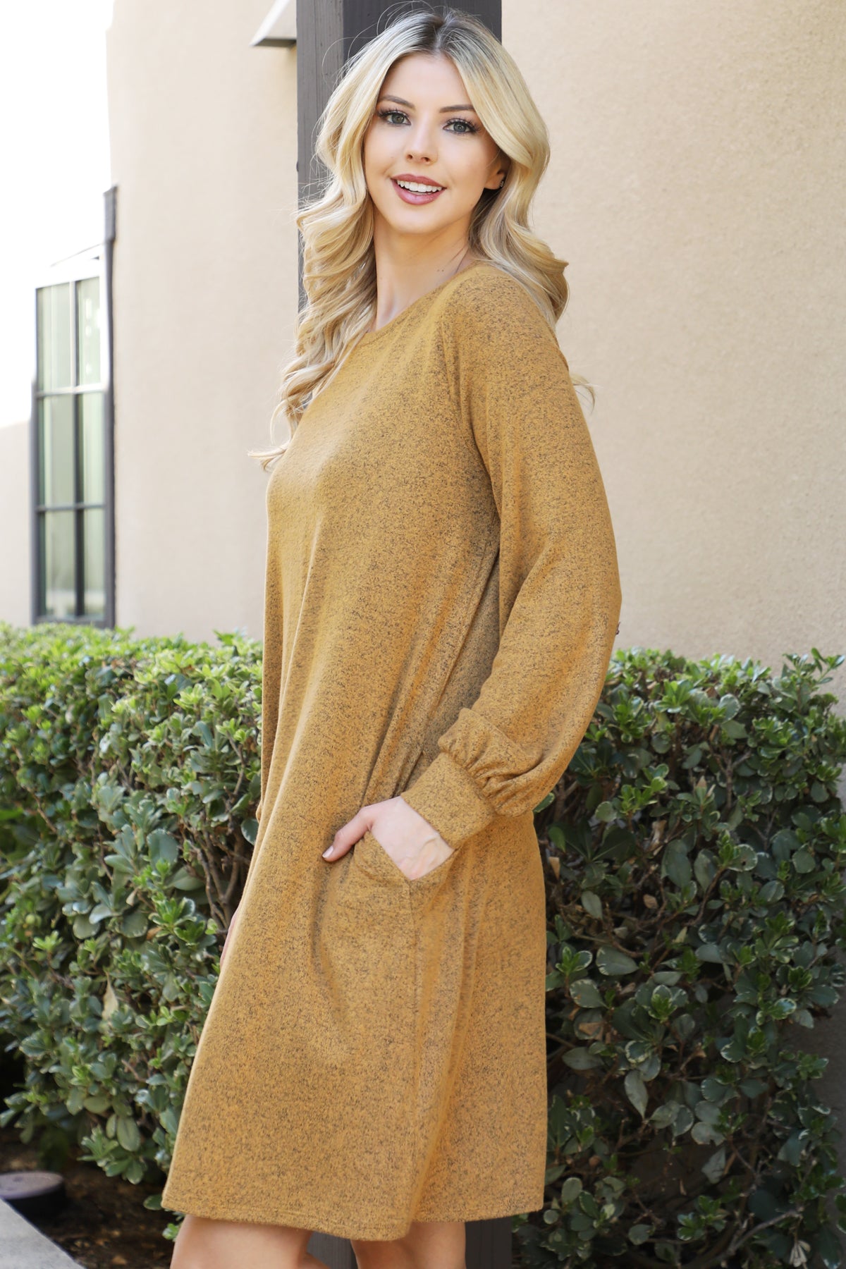 Long Sleeve Crew Neck Mini Swing Dress