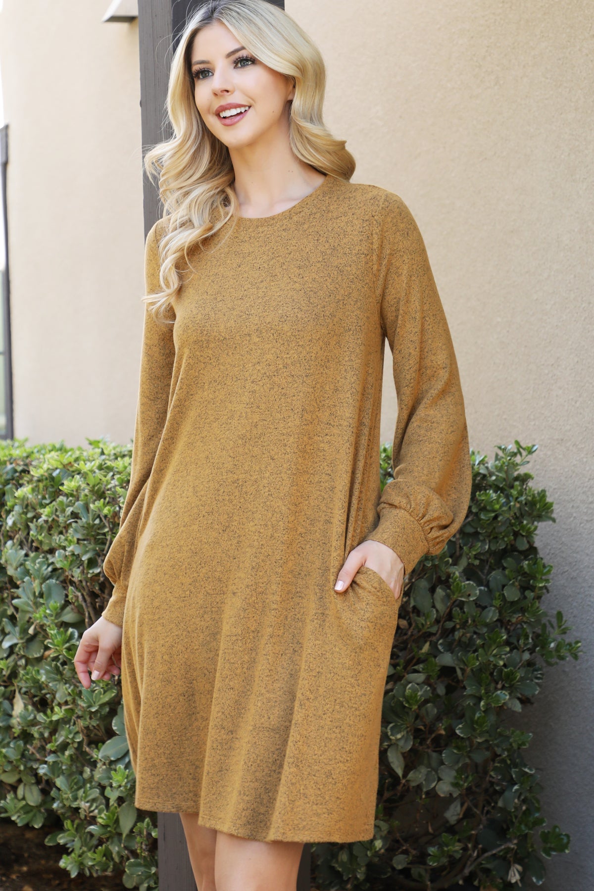 Long Sleeve Crew Neck Mini Swing Dress