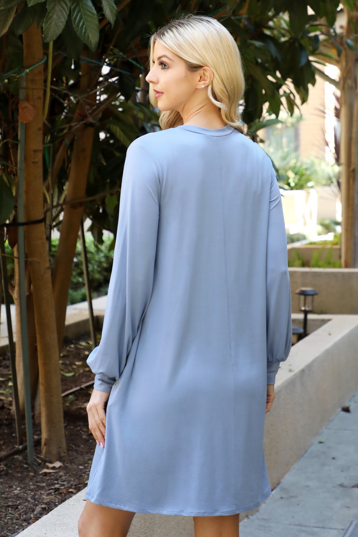 Crew Neck Long Sleeve Swing Dress