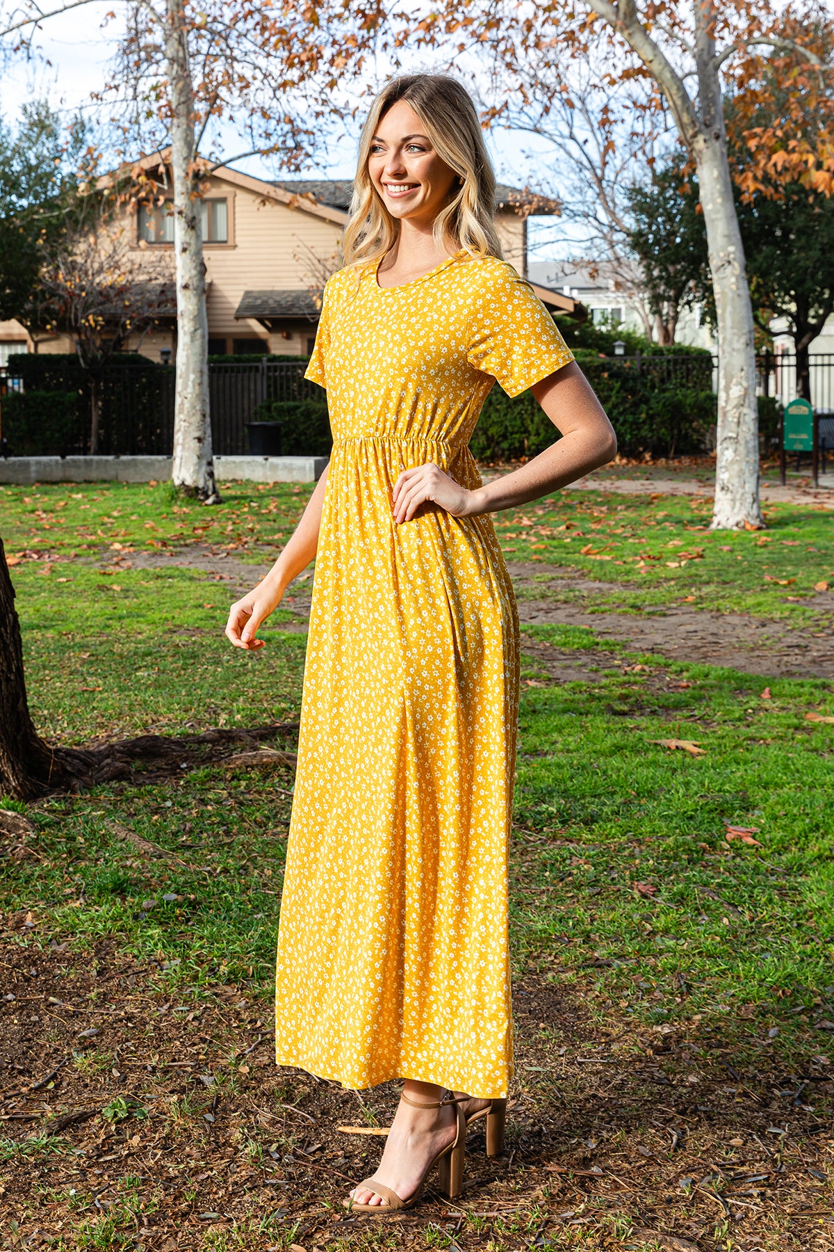 Short Sleeve Ditsy Floral Elastic Waist Maxi Dress