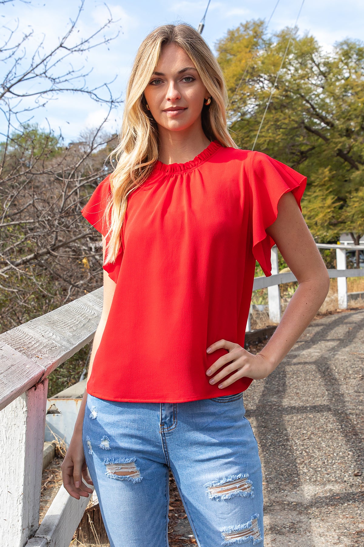 Fold Frill Neckline Butterfly Sleeve Solid Top